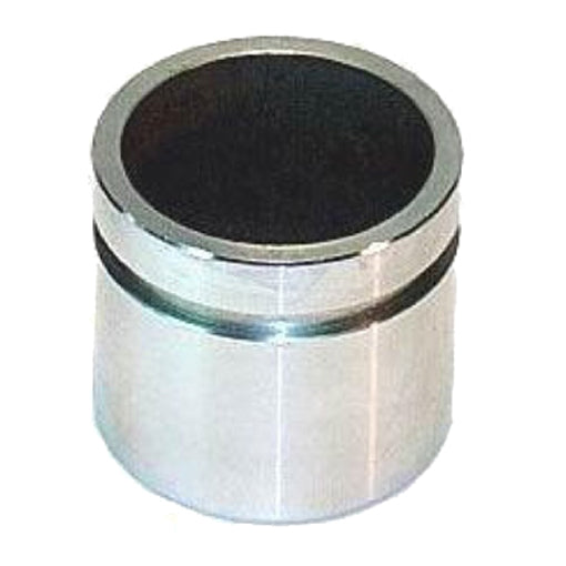 Protex Caliper Piston 090P0100