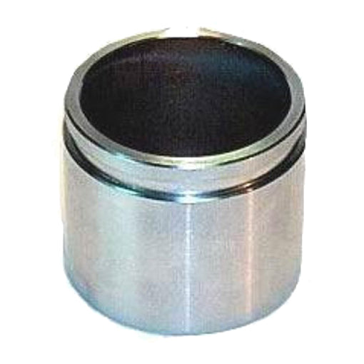 Protex Caliper Piston 090P0102