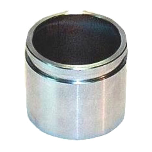 Protex Caliper Piston 090P0113
