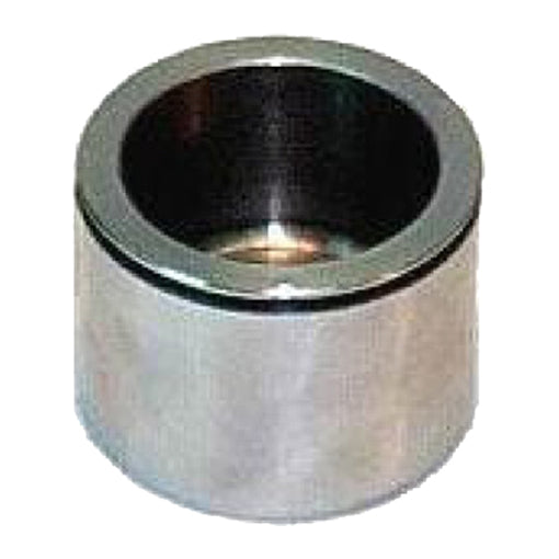 Protex Caliper Piston 090P0149