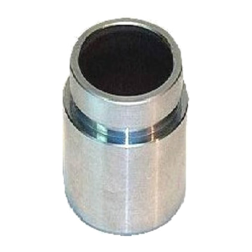 Protex Caliper Piston 090P0162