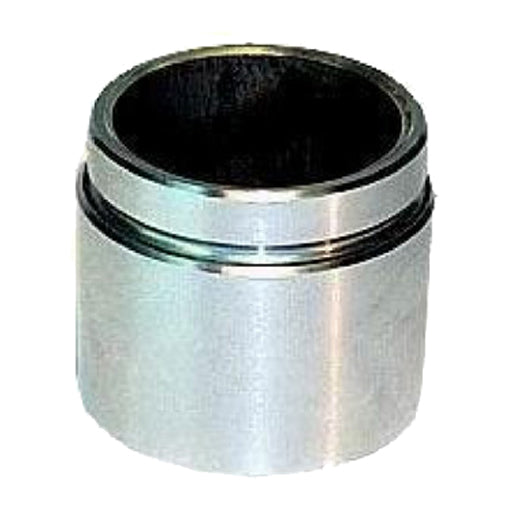 Protex Caliper Piston 090P0202
