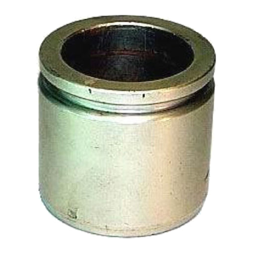 Protex Caliper Piston 090P0220