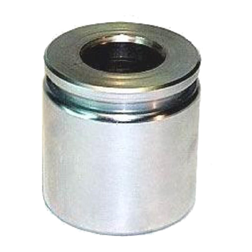 Protex Caliper Piston 090P0253