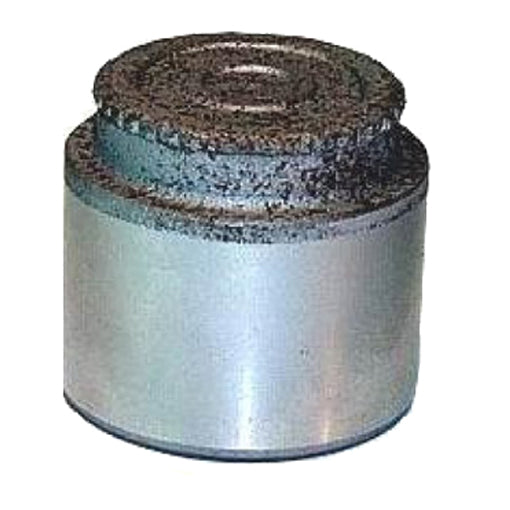 Protex Caliper Piston 090P0280