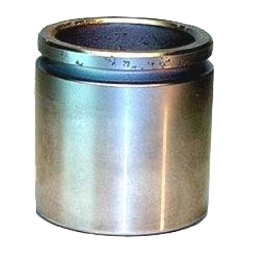 Protex Caliper Piston 090P0300