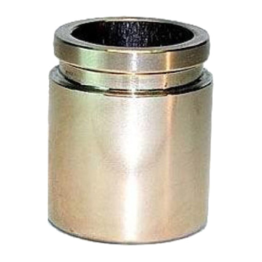 Protex Caliper Piston 090P0307