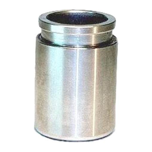 Protex Caliper Piston 090P0311