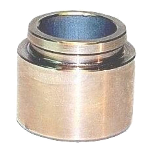 Protex Caliper Piston 090P0320