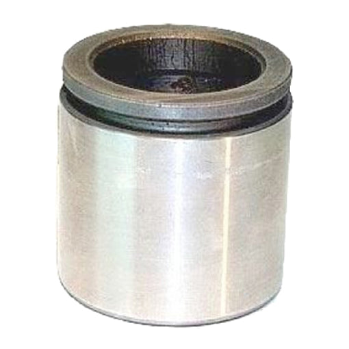 Protex Caliper Piston 090P0348