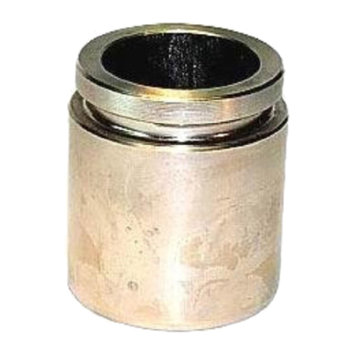 Protex Caliper Piston 090P0350