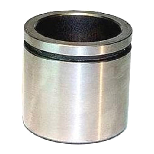 Protex Caliper Piston 090P0376