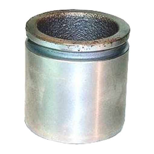 Protex Caliper Piston 090P0400