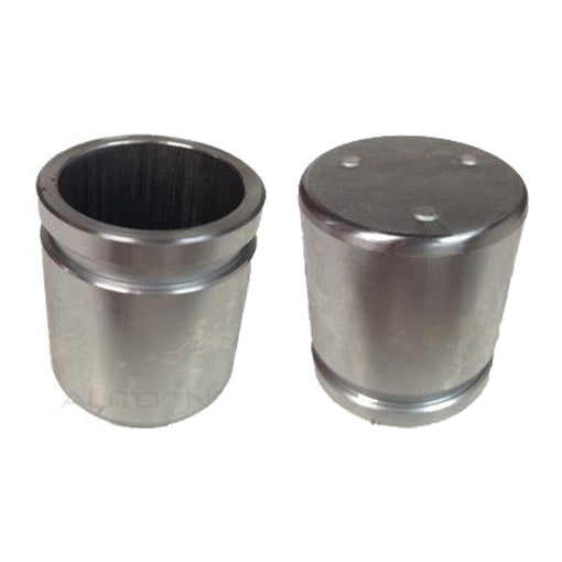 Protex Caliper Piston 090P0529