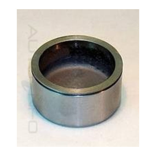 Protex Caliper Piston DB2240
