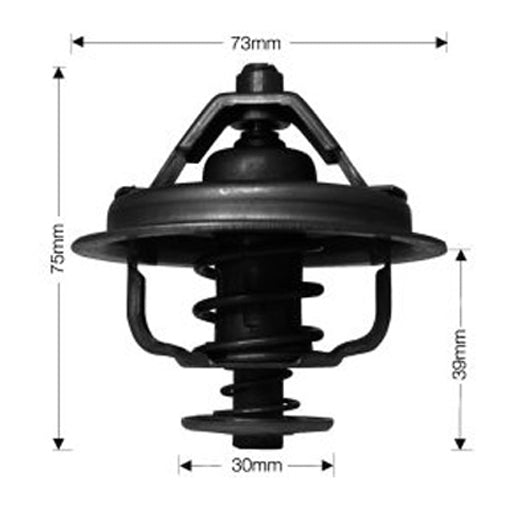 Dayco Thermostat DT38G