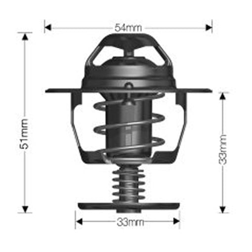 Dayco Thermostat DT77E