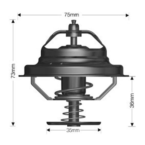 Dayco Thermostat DT82A