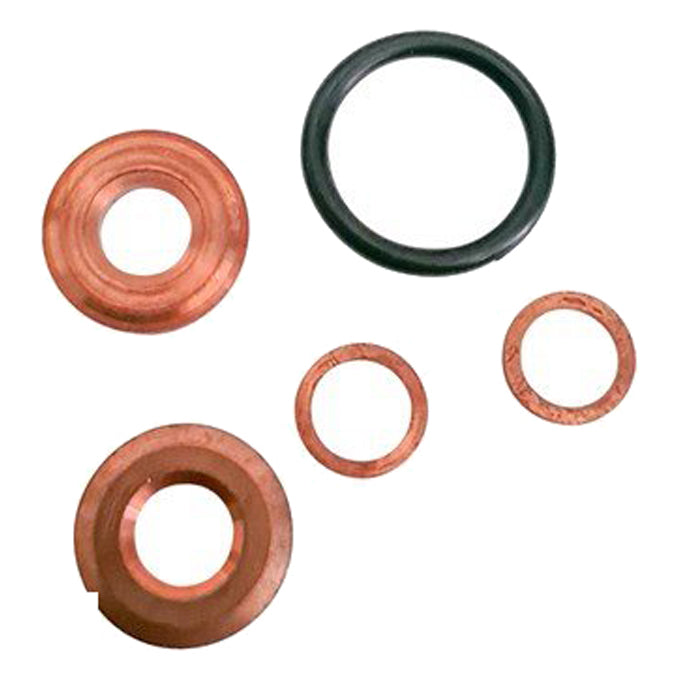 Goss Fuel Injector Seal Kit DWK152