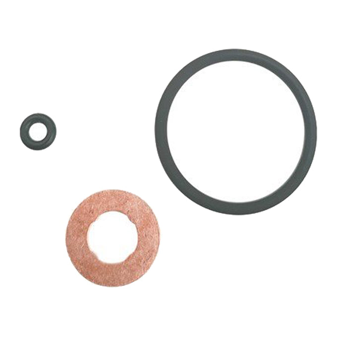 Goss Fuel Injector Seal Kit DWK440
