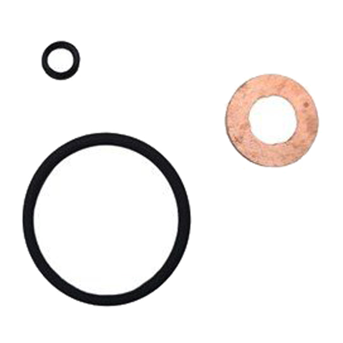 Goss Fuel Injector Seal Kit DWK449