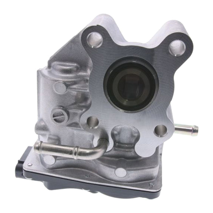 PAT Exhaust Gas Recirculation Valve EGR-181
