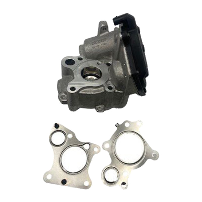 Goss EGR Valve EV165