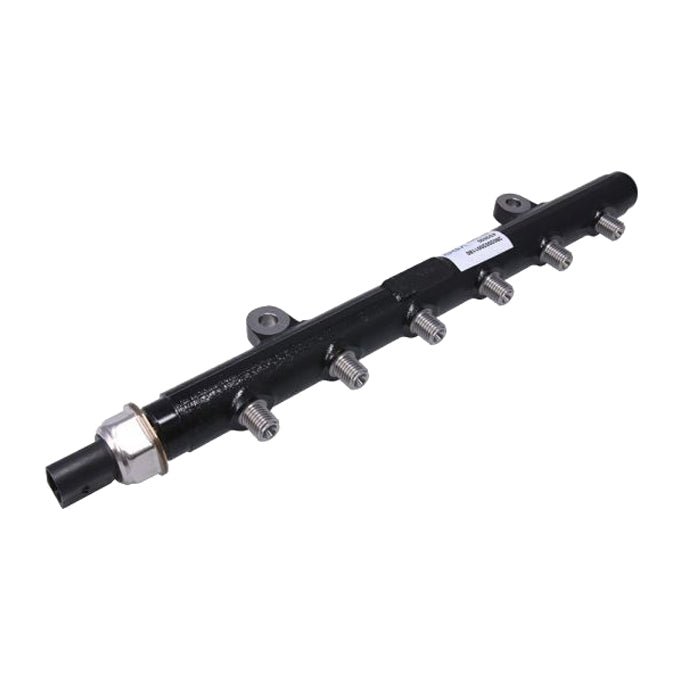 PAT Fuel Rail Assembly FRL-006