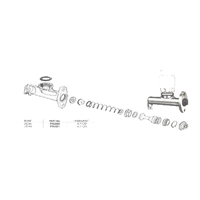 Protex Brake Master Cylinder P5489