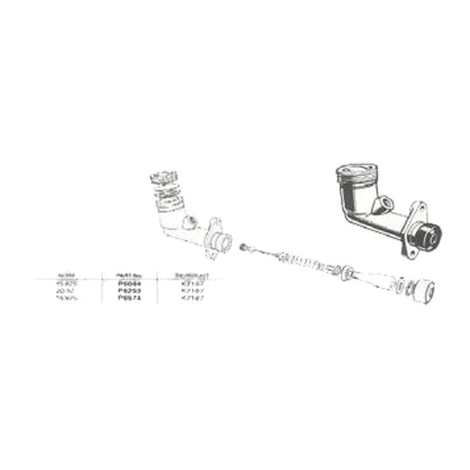 Protex Brake Master Cylinder P6044