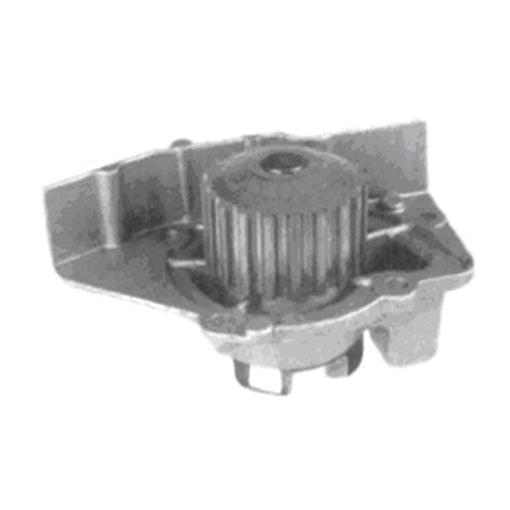 Protex Water Pump PWP2891
