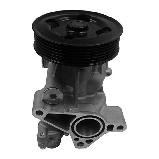 Protex Water Pump PWP6549