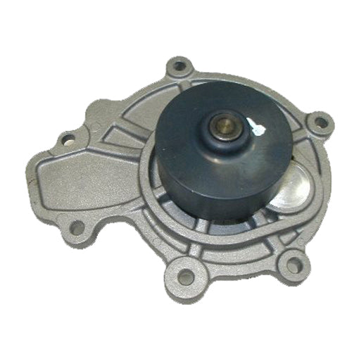Protex Water Pump PWP6999G