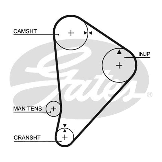 Gates Timing Belt T079