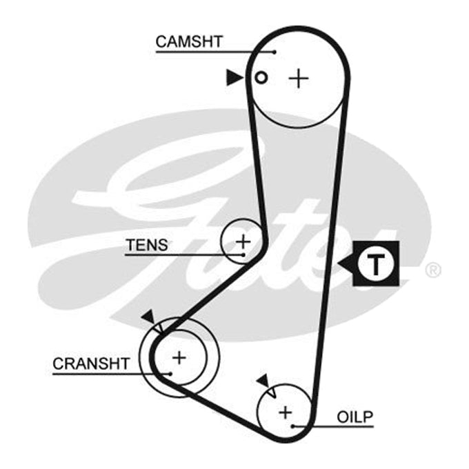 Gates Timing Belt T093