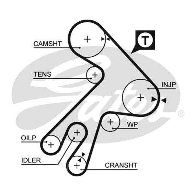 Gates Timing Belt T098