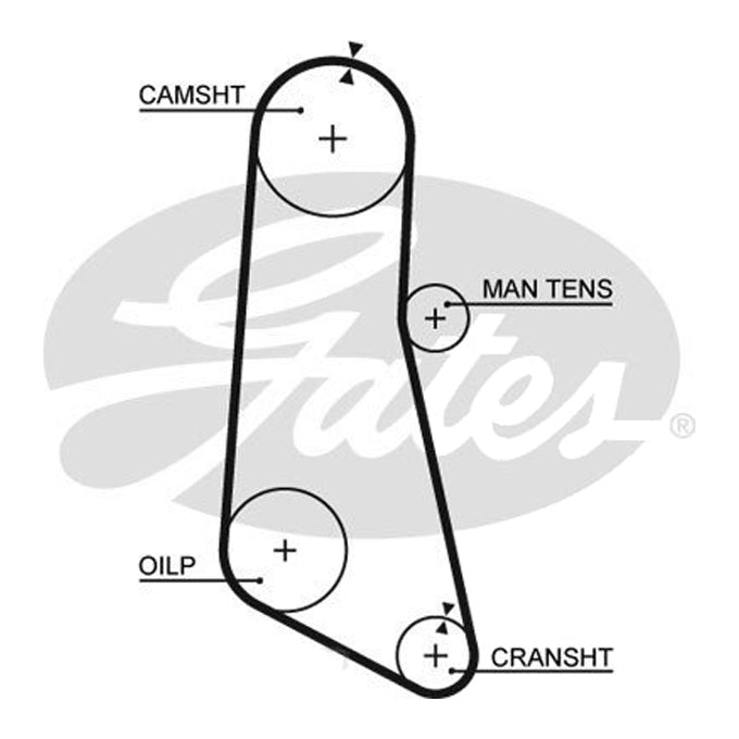 Gates Timing Belt T122