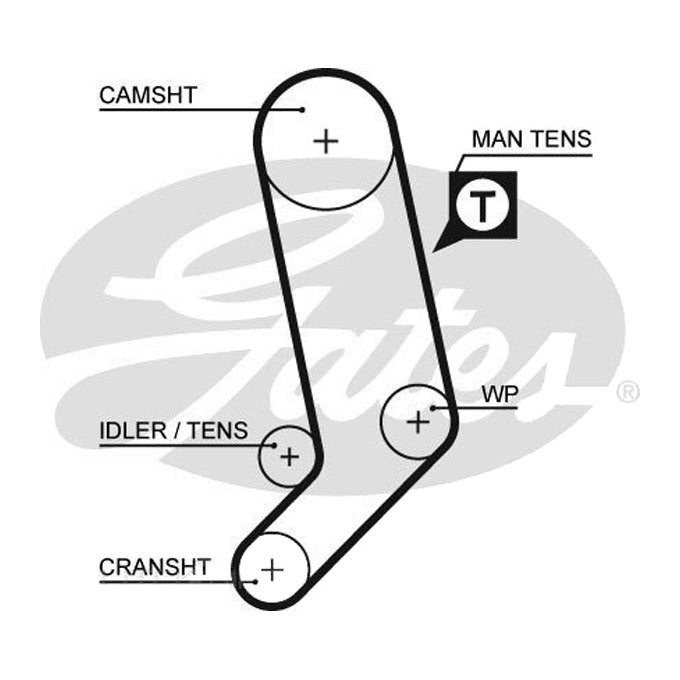 Gates Timing Belt T1569
