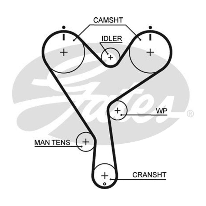 Gates Timing Belt T157