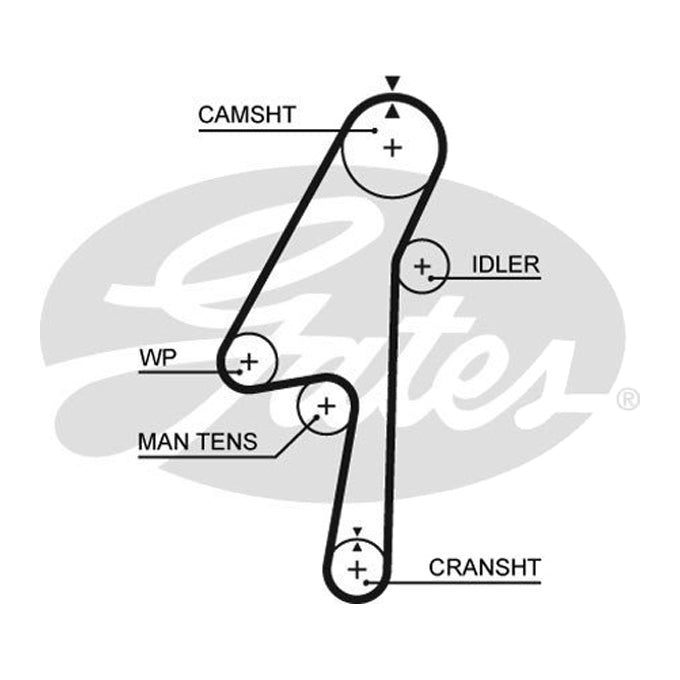 Gates Timing Belt T1580