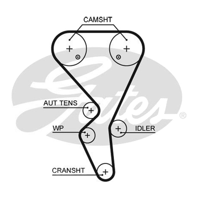 Gates Timing Belt T1581