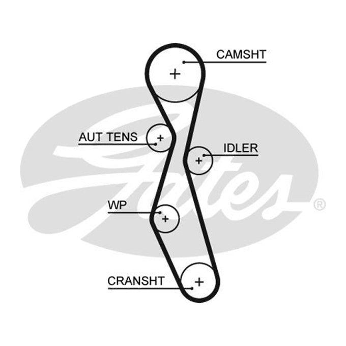Gates Timing Belt T1603