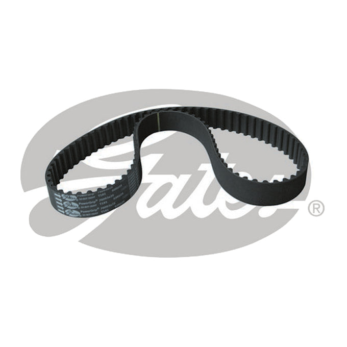 Gates Timing Belt T181