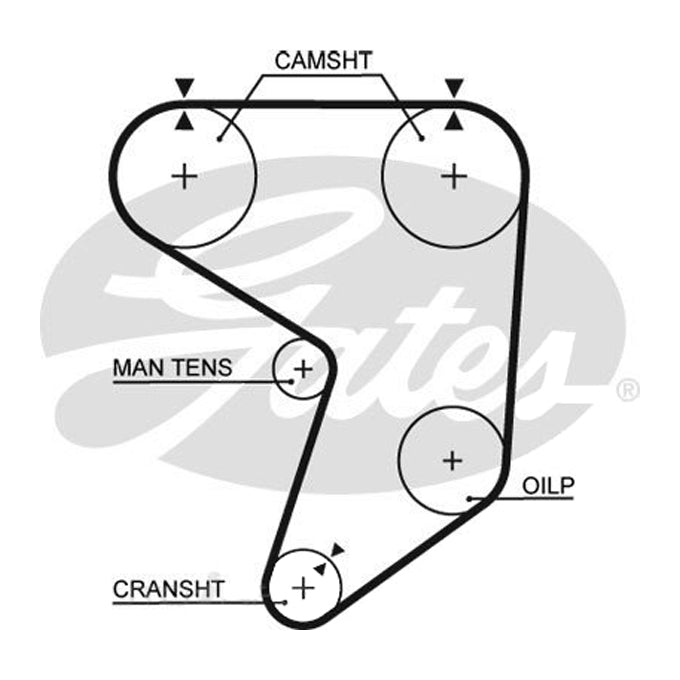 Gates Timing Belt T237