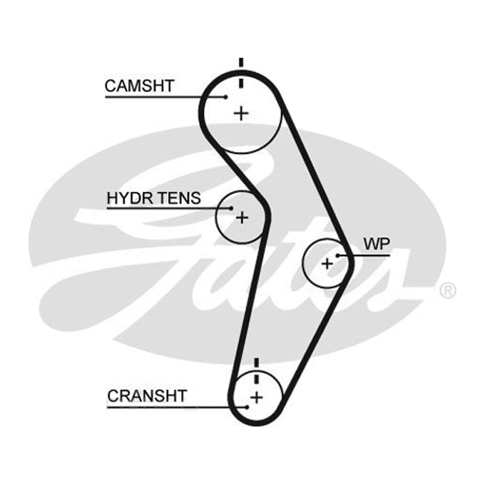 Gates Timing Belt T245