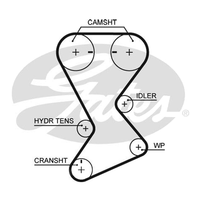 Gates Timing Belt T246