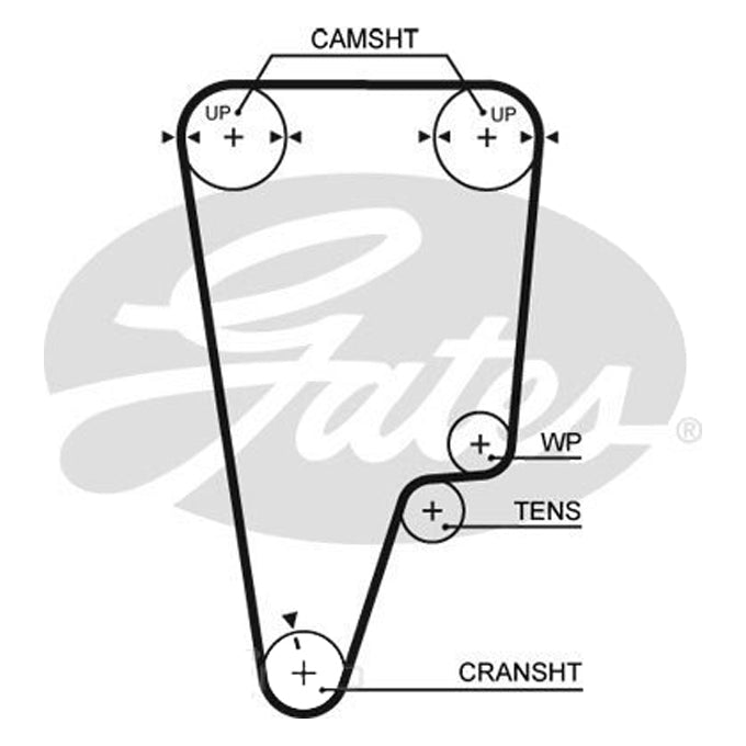 Gates Timing Belt T247