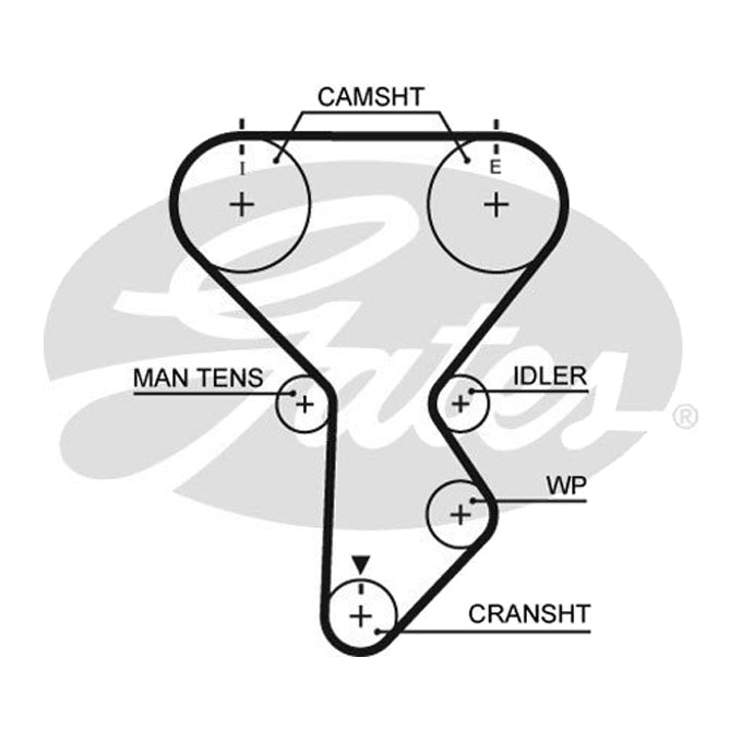 Gates Timing Belt T281