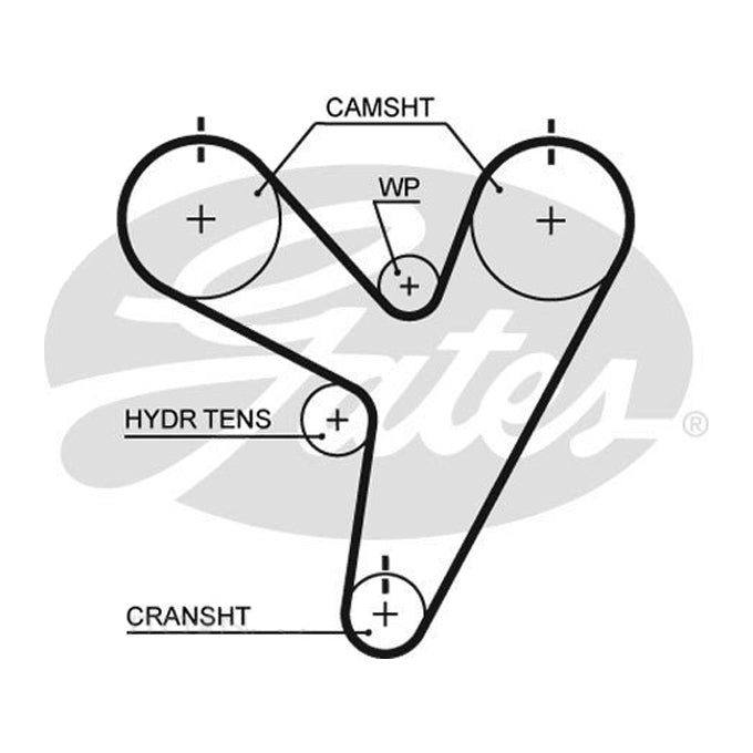 Gates Timing Belt T295