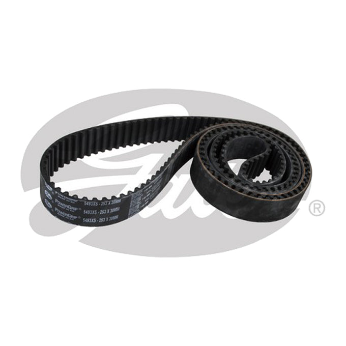 Gates Timing Belt T297